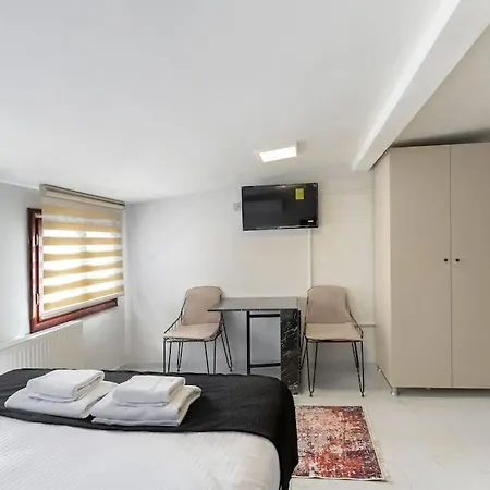 Cozy & Comfy Studio At Beyoglu - 45 公寓